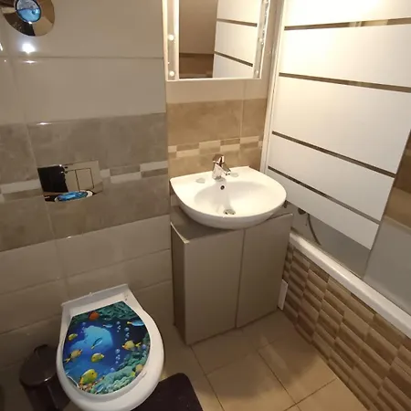 בראשוב Apartament Regim Hotelier Elis מראה חיצוני תמונה