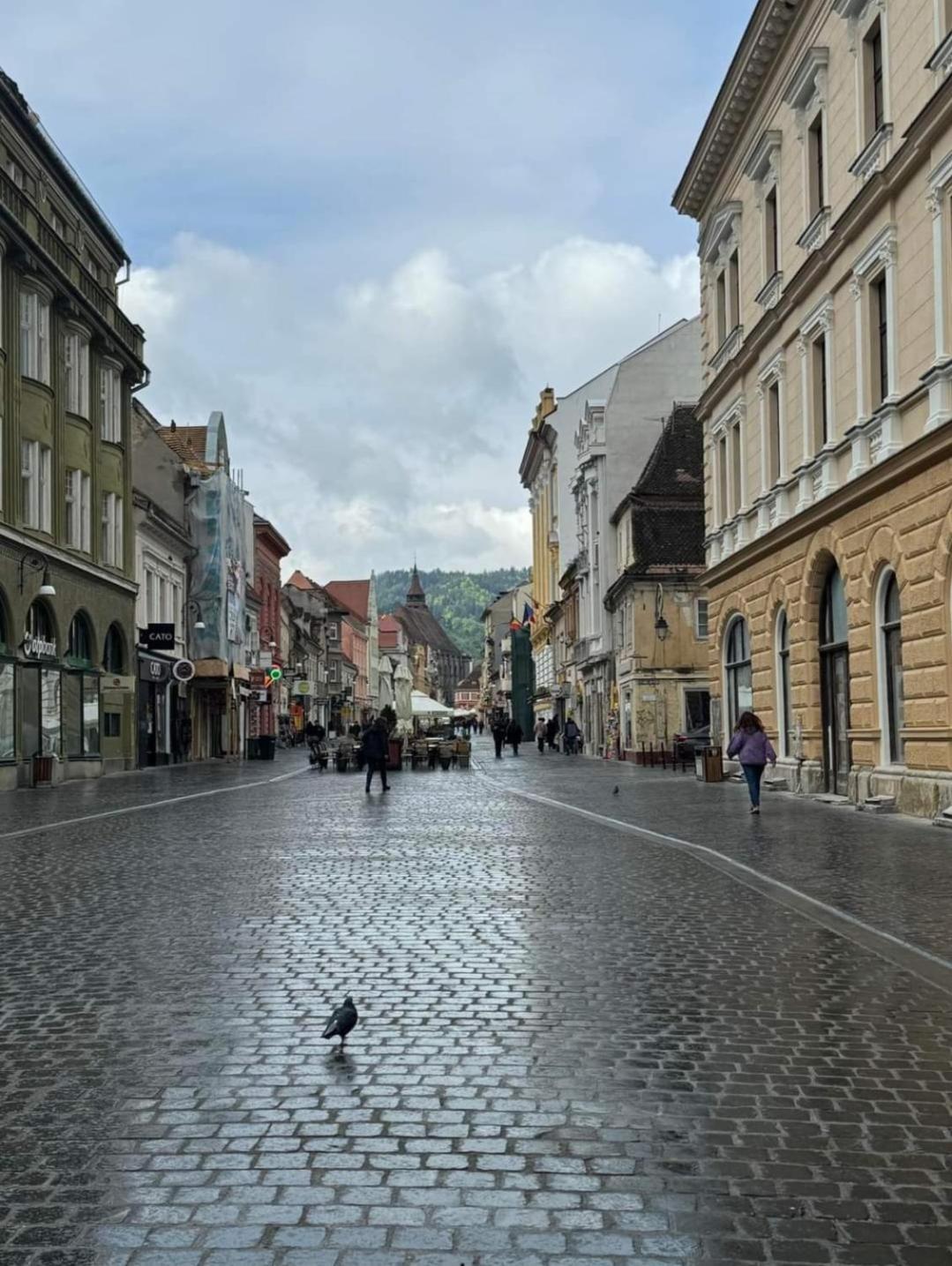 Regim Hotelier Elis * Brasov